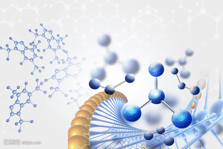 生物分子的結(jié)構與功能 生命科學的基石